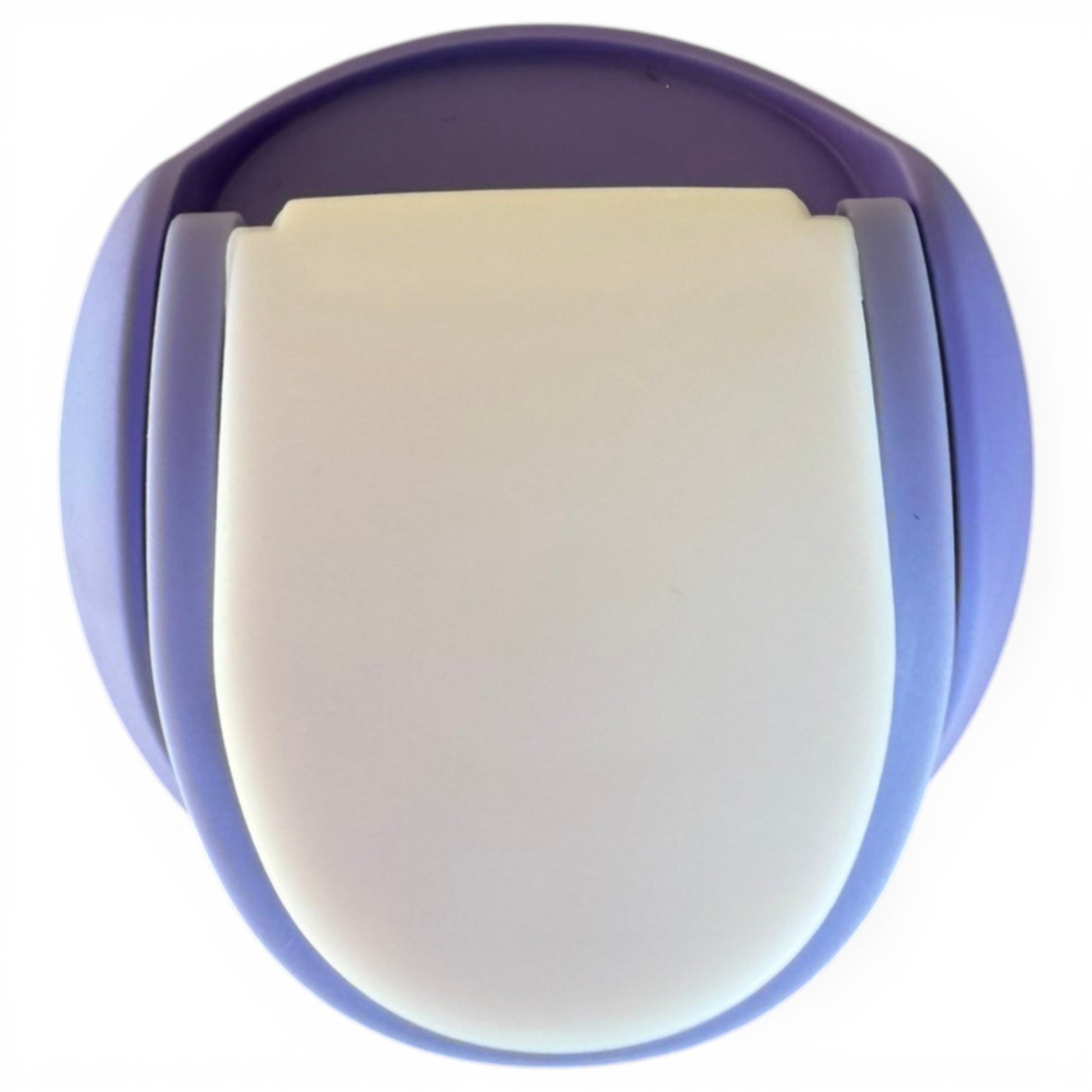 A purple and white handheld lint remover rests beside the 32oz Hydration Bottle – Astronaut Walker, an insulated stainless steel bottle with a flip straw lid and handle, both viewed from above on a white background.