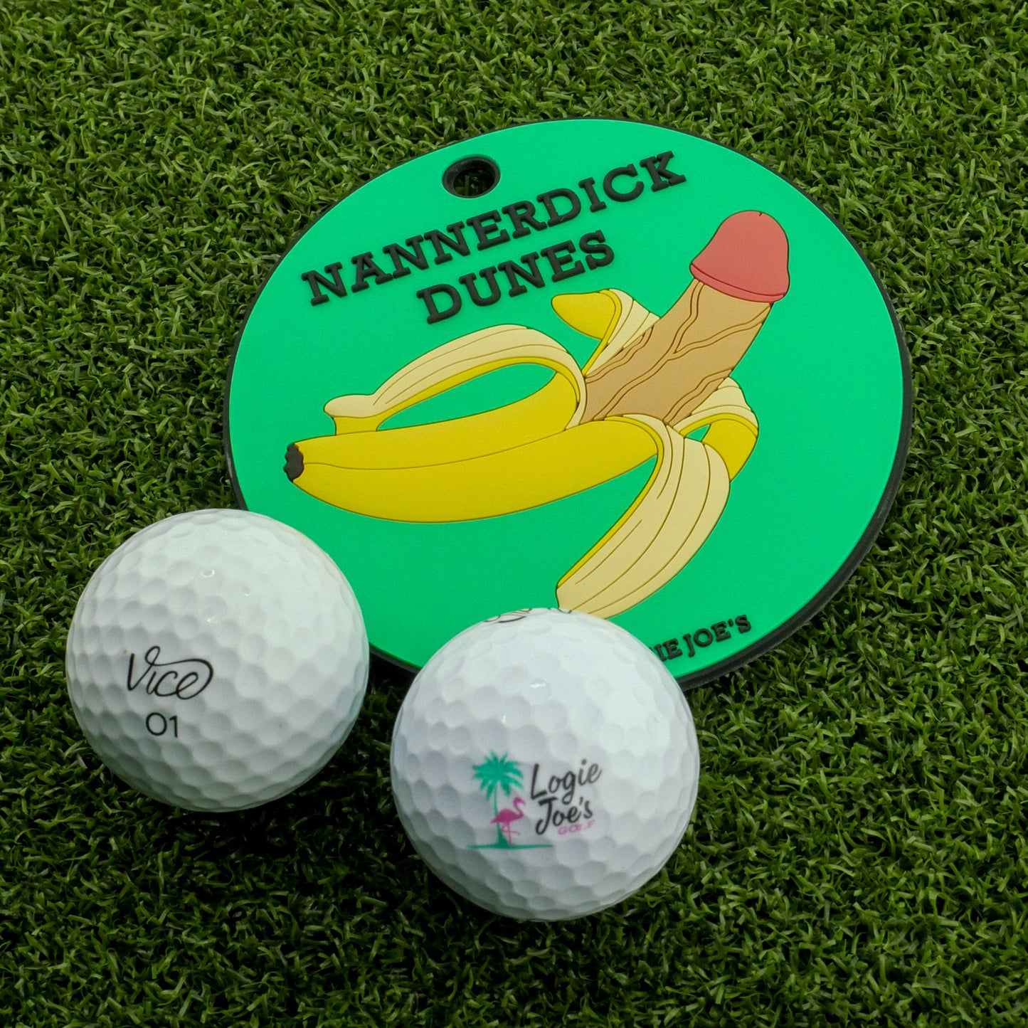 Nannerdick Dunes Putting Disk